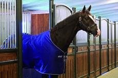 Horseware Ireland Amigo Stable Sheet