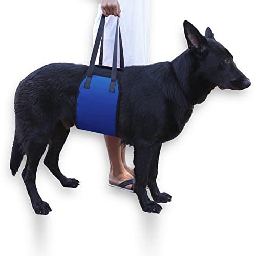 Dog Lift Harness Support Sling Helps Dogs With Weak Front or Rear Legs Stand Up Walk Get Into Cars Climb Stairs. (blue)