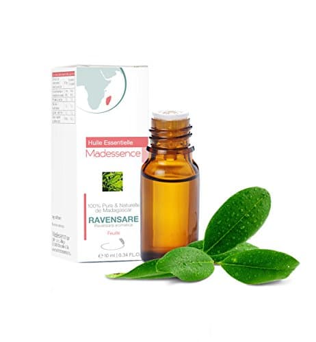 Ravensara Essential Oil - 0,34 fl. oz - Ravensara aromatica