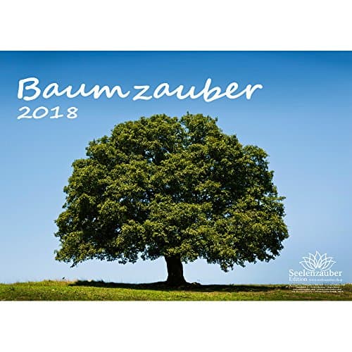 Premium 2018; DIN A4; Tree Magic Tree Christmas Card – Trees – Forest – Gift Pack with 1 Greeting Card, 1. Edition Soul Magic