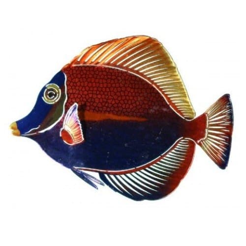Next Innovations WA3DMANGELFISHMULTI CB Angelfish Refraxions 3D Wall Art, Multi