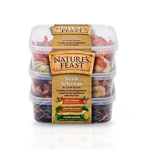 Natures Feast Snack Pot (175g) (May Vary)