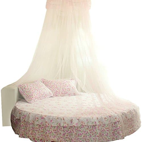 uus Mosquito Nets Round Bed Ceiling Mantle Landing Large-size Lace Dome Mosquito Nets Dream Yellow Powder Purple Jade Color Mosquito Pest Control Mosquito Nets ( Color : Powder Taro )