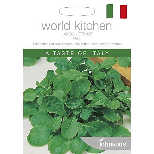 Johnsons World Kitchen Lambs Lettuce Gala Seeds