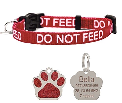 Cat Collar Do Not Feed With Bell Quick Release Free Engraved 27mm Glitter ID Tag (Red)