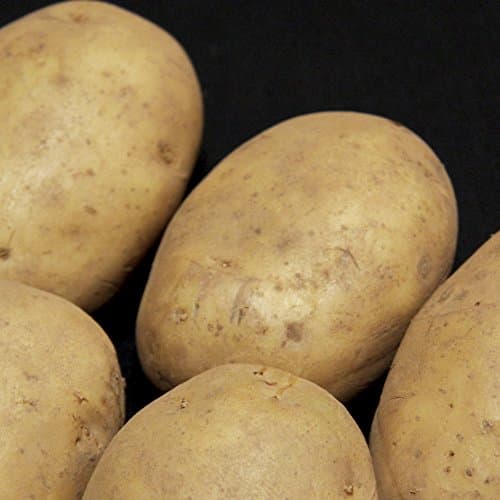 JPD Plants Maris Peer Potatoes (2 KG)
