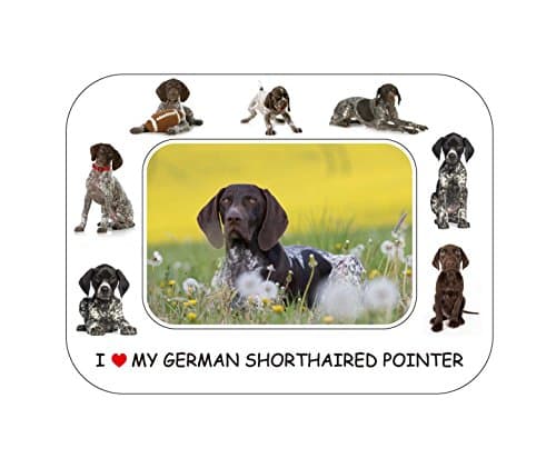 FRIDGE MAGNET German Shorthaired Pointer Gift - Beautiful 8" x 6" Magnetic Photo Frame/Flexible