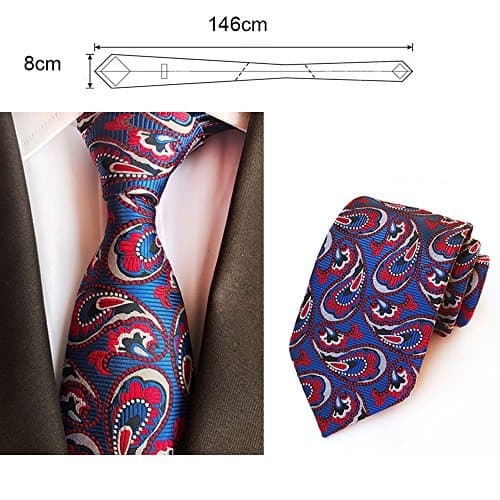 Lebin Men's Fashion Paisley Floral Patterned Handmade Polyester Regular Width Necktie for Wedding Party Formal Occasions (Q)