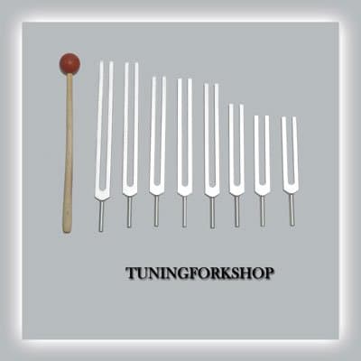 8 Pc Fibonacci Tuning Fork for Healing with Mallet & Pouch