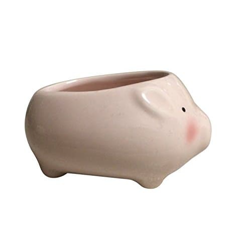 Coolbila Piglet Flower Pot -- Mini Ceramic Planter - Pink