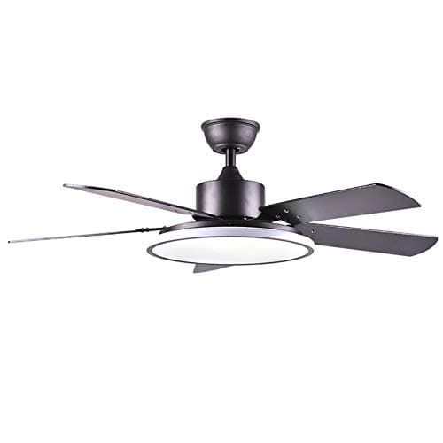 RXUNA Modern Low Profile Fan Light, Dimmable Double-Sided Fan Blade Ceiling Fan Light Summer Winter Run Ceiling Fan Lamp-Black A 46inch [Energy Class A]
