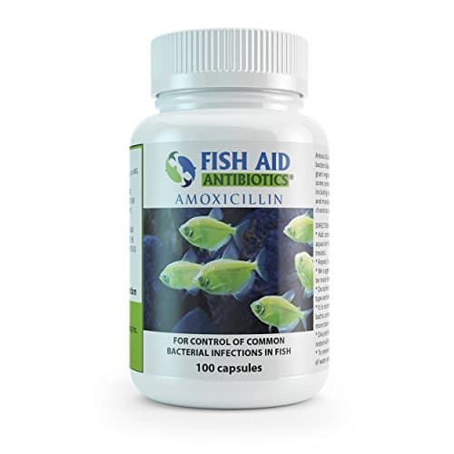 Fish Aid (500mg 100ct capsules) EXP 04/2018