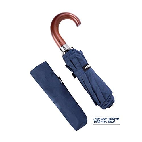 Vilapur Windproof Travel Umbrella Automatic Folding Golf Umbrellas Auto Open Close for Men/Women, Unbreakable Lightweight 10 Ribs Automatic Windproof Canopy Compact (Blue)