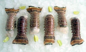 Lobster Gift Basket, 3 Pounds