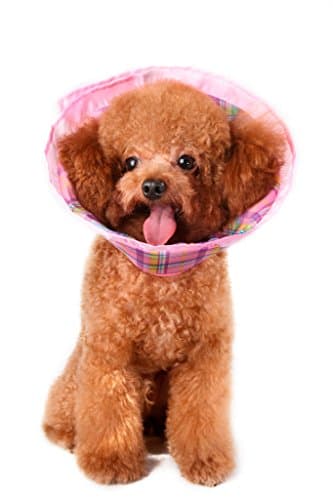 Premium Plush E-Collar Cone For Dogs & Cats, Elizabethan Collar is Soft and Durable for Ultimate Bite Not Protection During Recovery, Comes in Every Size, Choose Blue, Pink, Green Plaid, Guaranteed