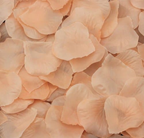 123zero Artificial Silk Rose Flower Petals （2000 Pcs) for Party and Weeding Bridal Decoration (Champagne)
