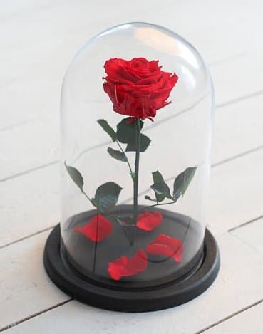 Handmade Preserved Never Withered Real Rose Flower With Real Fallen Petals, in Luxury Glass Dome Gift for Valentine's Day Anniversary Wedding Birthday Inspired By Beauty And The Beast