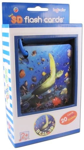 Ingenio Real 3D Flash Cards Marine Animals