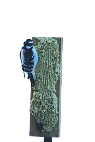 Birds Choice WCBOARD Suet Board with Pole Clamp