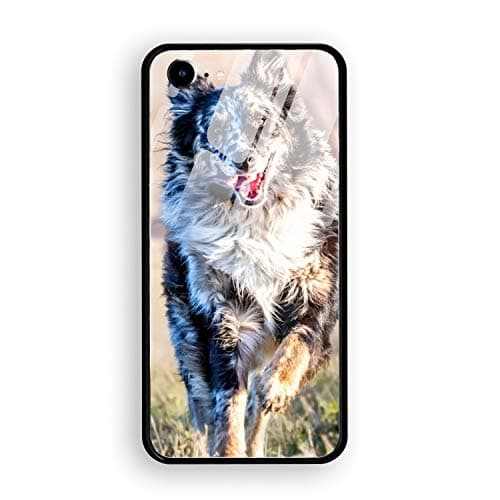 Border Collie Dog iPhone 7 iPhone 8 Case Luxury Tempered Glass Back Cover with Soft TPU Bumper Frame Shock Absorption 360 Degree Full Protection