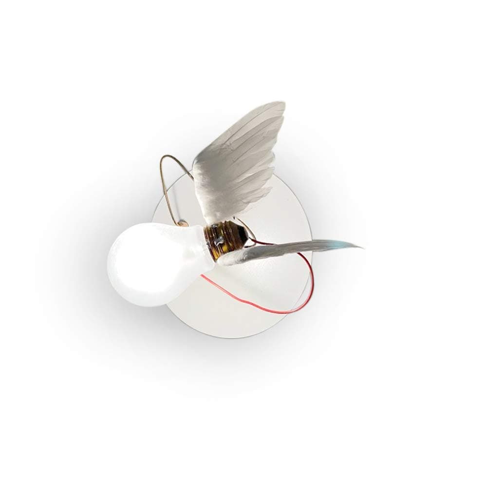 Lucellino Wall NT Lamp white/metal/for wall surface mounting incl. transformer/white base-plate Ø15cm