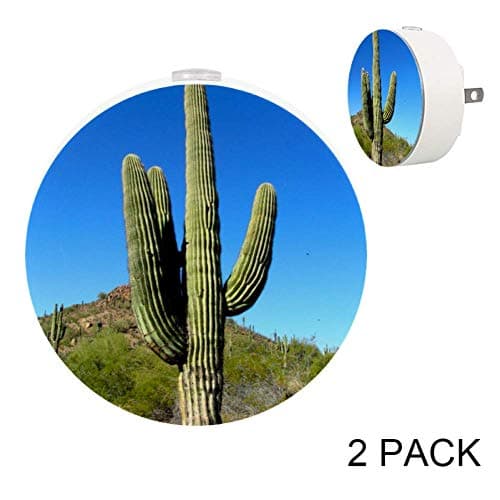 Moutain Cactaceae Plug in LED Automatic Light for Bedroom, Hallway and Kitchen, Pack 2
