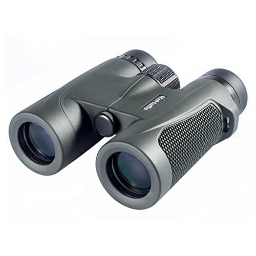Binoculars Compact Lightweight Mini for Adults Kids 8x32 Fully Multi-Coated Lens Nitrogen Inflator Waterproof for Bird Watching Travel Hunting Outdoor Bad Weather Usuing (Army Green)