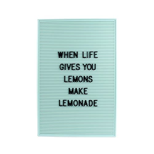 Dresz Trendy Mint Letter Board with Mounting Hooks, 12.2 x 18.1 x 0.5 inch, 267 Black Letters Numbers & Symbols, Retro…