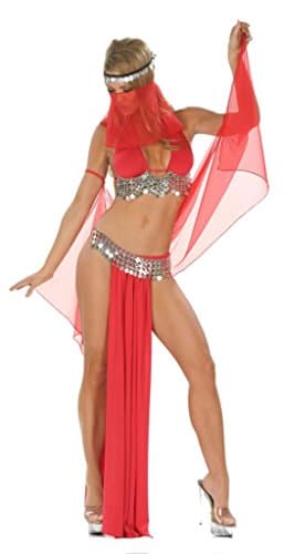 Inc Sexy 5PC Bellydancer Costume Set