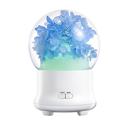 Bixshell Essential Diffuser, 100ml Aroma Essential Cool Mist Humidifier with Adjustable Mist Mode, Waterless Auto Shut-off and Eternal Flower LED Lights Changing for Home Office Baby (Sky Blue)