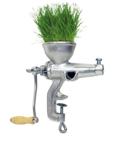 Heavy Duty Cast Iron Manual Wheat Grass Fruit Juicer Extractor Grinder