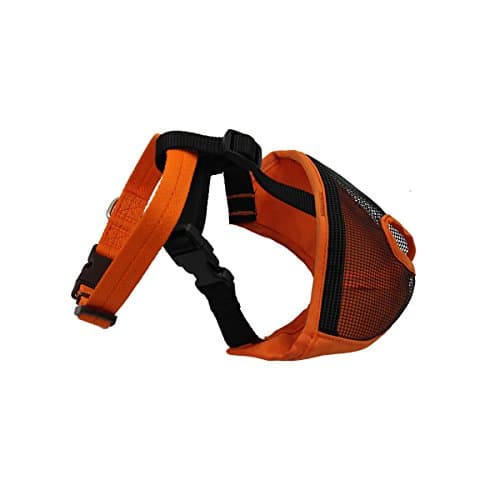 Short Snout Dog Muzzle, Orange