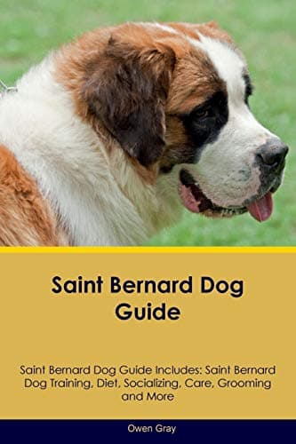 Saint Bernard Dog Guide Saint Bernard Dog Guide Includes: Saint Bernard Dog Training, Diet, Socializing, Care, Grooming, Breeding and More Paperback – August 2, 2016