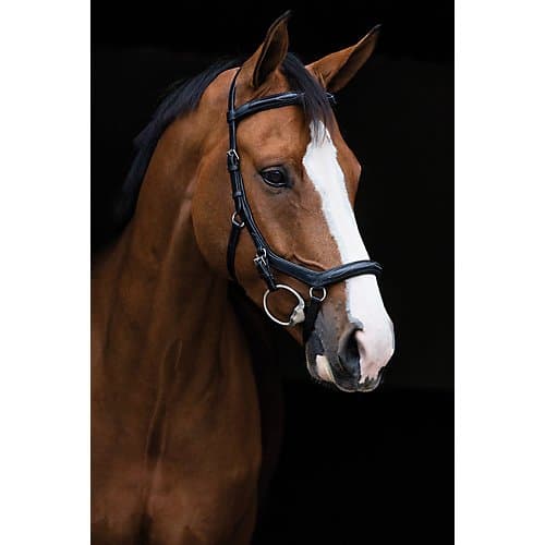 Rambo Micklem Deluxe Competition Bridle