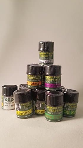 Captain Fogg's TERPSauce - Trainwreck - 1ml sample