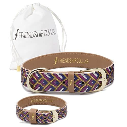 Friendshipcollar Dog Collar - The Mischief Maker - Medium