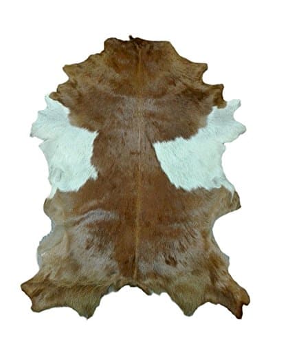 Zerimar Goat area rug Size: 3' 3'' x 2' 6'' FT 100% Natural Perfect for decoration