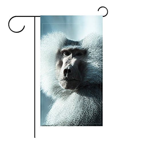 YourPink Garden Flag Monkey Baboon Muzzle Fluffy 12x18 inches(Without Flagpole)