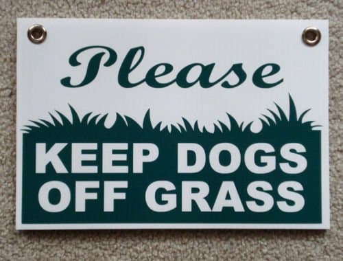 Biosynol TM Please Keep Dogs Off Grass Yard Sign, 8 x 12 Inches with Grommets, 1 Pack