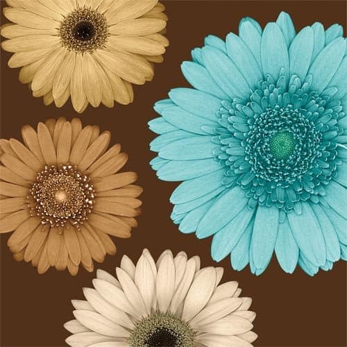 Daisy Quartet II - Canvas - Petite: 12"x12"