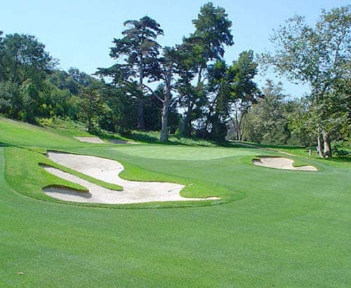 Common Bermuda Grass Seed, Lawn Seed, Hulled, Turf Grass, 1/4 Pound Raw Seed