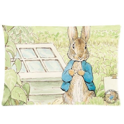 Peter Rabbit Pillowcase Soft Zippered Throw Pillow Cover Cushion Case Covers Fasfion Design Two Sides Printed 20x30 Inches
