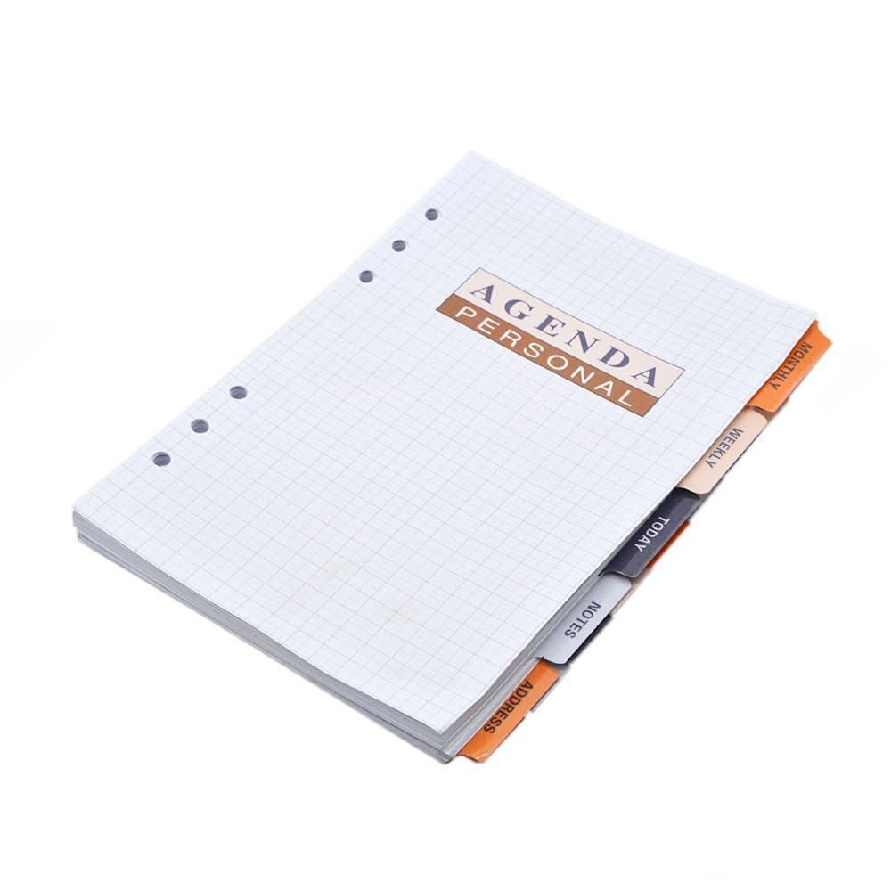 EzSos Refill Paper, Loose Leaf Binder Notebook with Label, Personal Agenda, Refills 6 Hole Lined Filler Paper for A5, 8.4 X 6.1 Inches, 106 Sheets/212 Pages, White