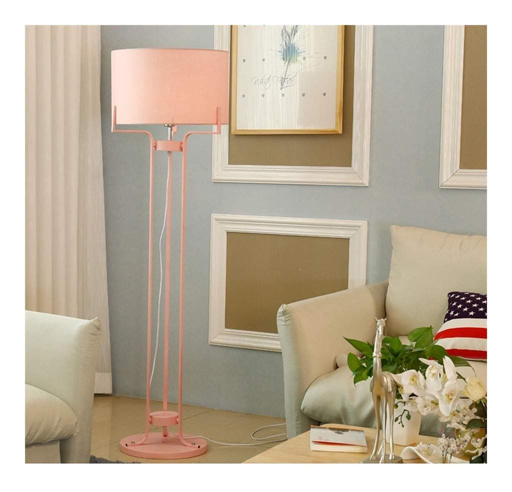 &Floor Lamp Floor Lamp, E27 * 1 Light Source Floor Lamp, Simple Post-Modern Down-to-Earth Living Room Study Vertical Floor Lamp Lamp (Color : C)