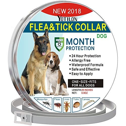 YoTilon Flea and Tick Collar for Dog,Waterproof Flea Control for Dogs and Cats(8 Months Protection) Pet Essential Oil Pest Control Collars, Flea Treatment One Size Fits All Dogs (flea tick collar)