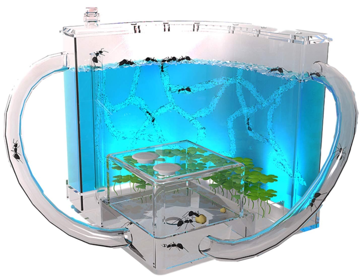 EveryWell Light-up Ant Farm, Educational & Learning Nature Science Kit with Eatable Clear Colorful Gel Nutrition, Study Behavior of Ants & Ecosystem(Live Ants Not Included) (Blue)