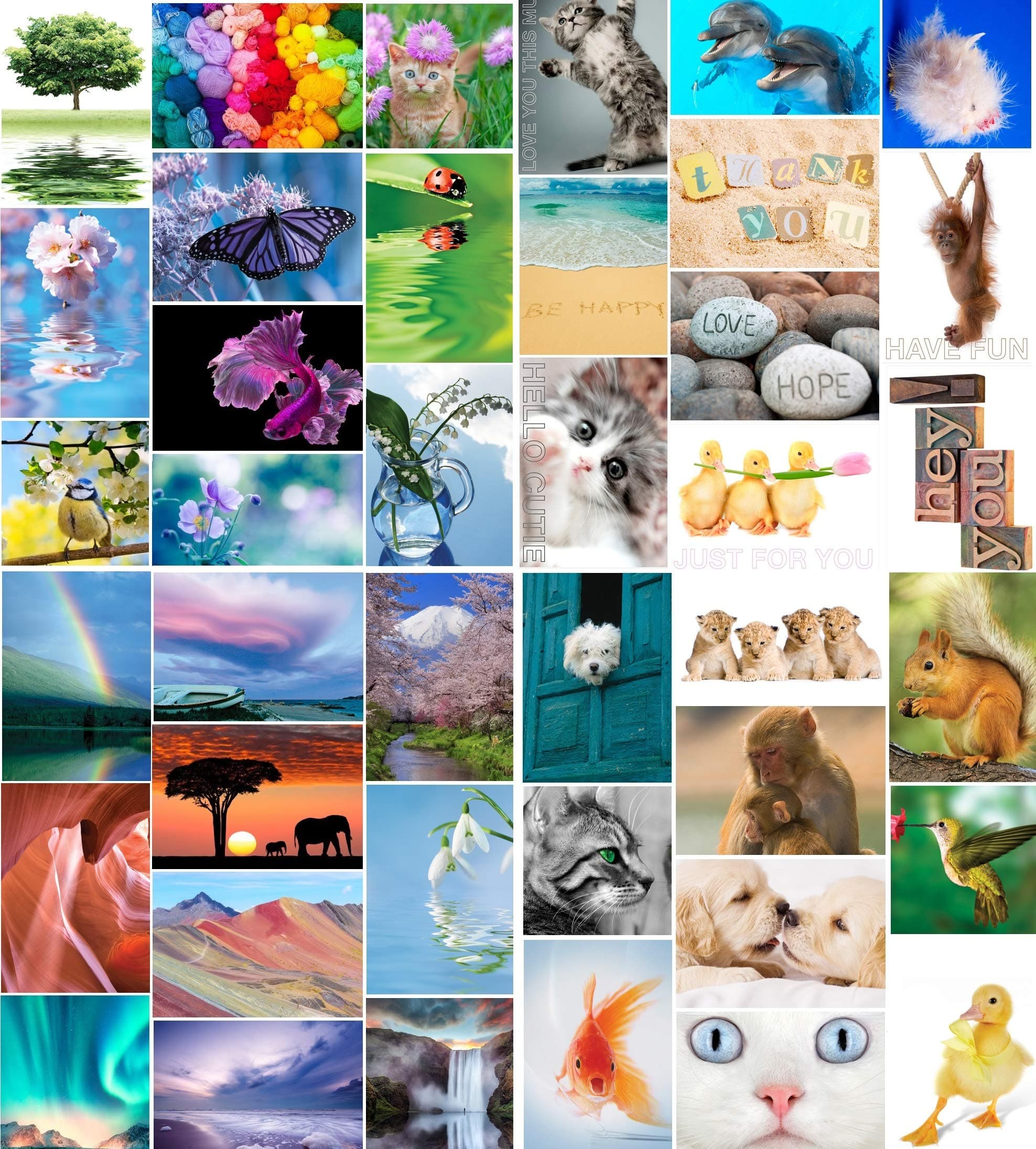 40 Mixed Pack 2 - Multipack Of Postcards With 40 Different Images (Without Envelope)