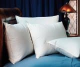 Pacific Coast Down Surround Standard Pillow Set (2 Standard Pillows)