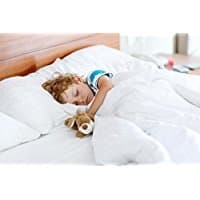 TODDLER COMFORTER - 100% NATURAL WHITE DOWN (36x50)
