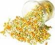 Sugar Coated Fennel Seed 14oz